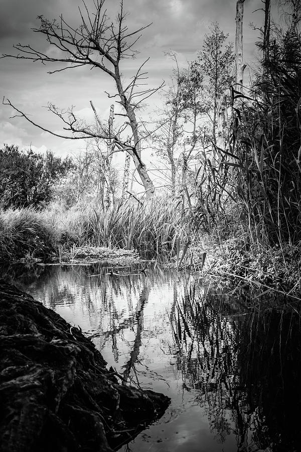 Landscape Photograph - Tegeler Fliess by Ute Herzog Landscape Photograph - Tegeler Fliess by Ute Herzog
