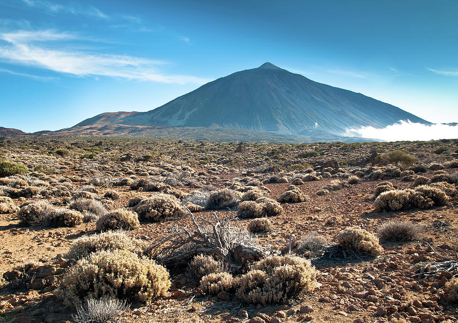 Teide Volcano Photograph by Arsenio Marrero