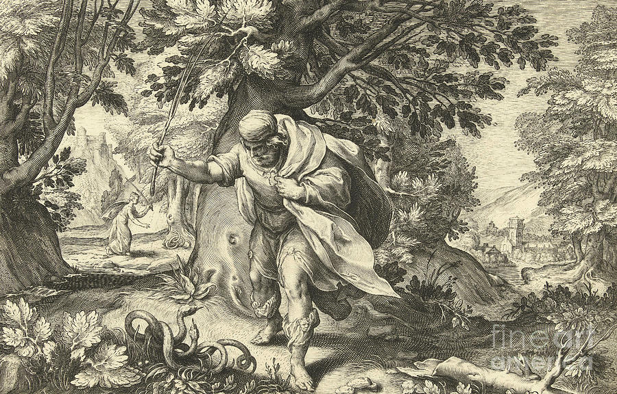Hendrik Goltzius Drawing - Teiresias beats two mating snakes, from Metamorphoses by Ovid by Hendrik Goltzius