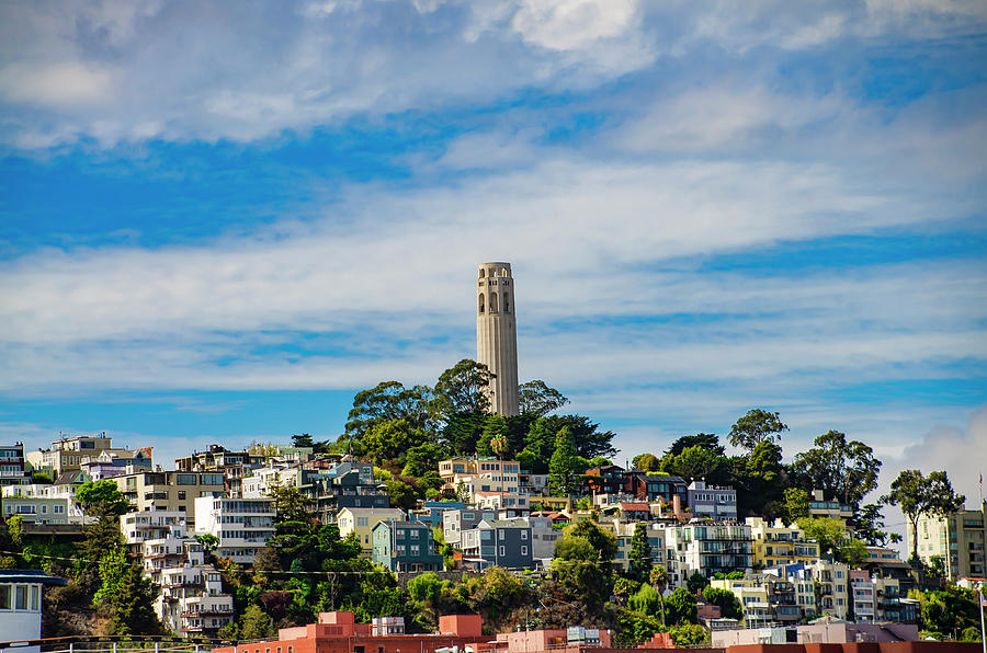 Telegraph Hill - San Francisco California Photograph by Bill Cannon