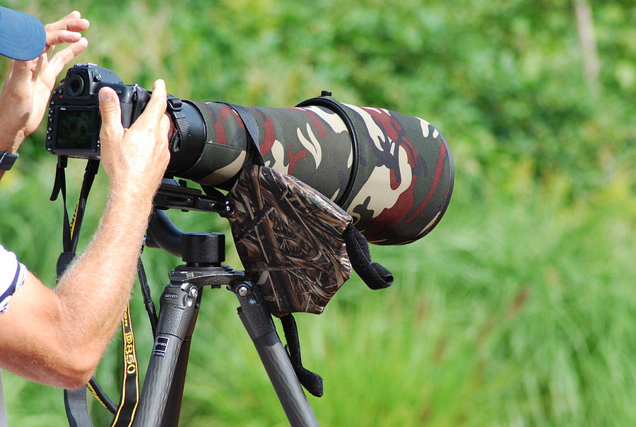 Telephoto Massive Zoom Lens 5 Photograph by Ee Photography