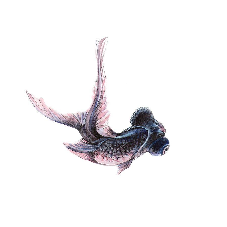 Telescope Fish Painting by Ina Petrashkevich