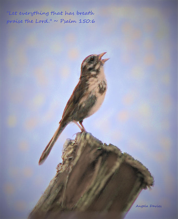 Sparrow Photograph - Tell Of All His Wondrous Works by Angela Davies