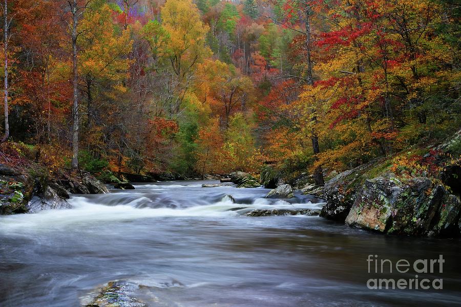Tellico River Tennessee 3 by Rick Lipscomb Tellico River Tennessee 3 by Rick Lipscomb