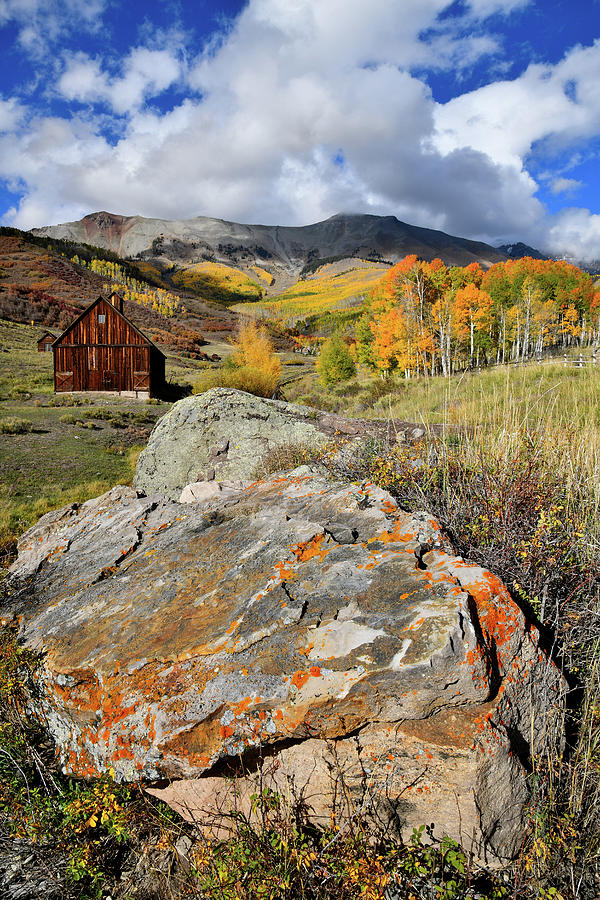 Telluride Fall Colors near Airport Photograph by Ray Mathis