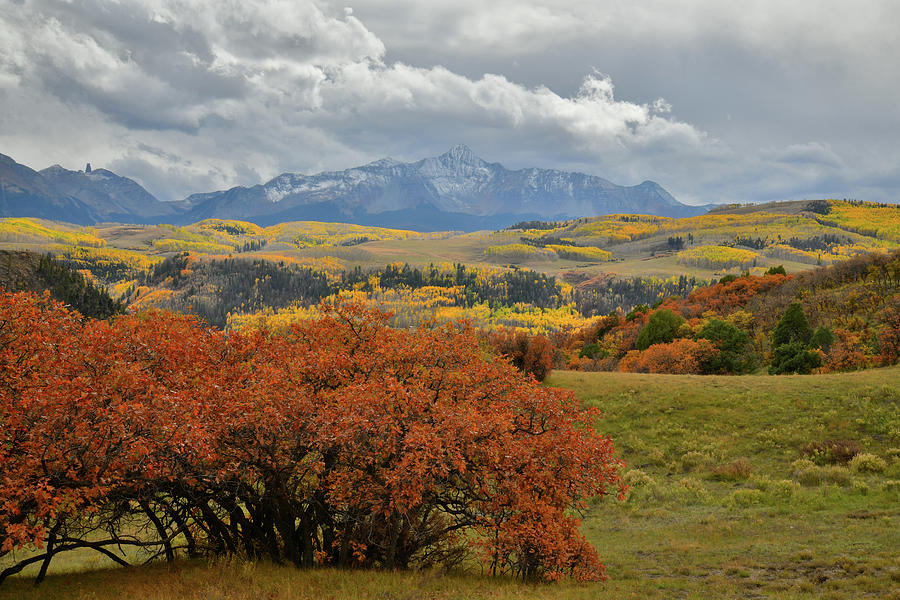 Telluride Skyline Seen From Last Dollar Road in Fall Photograph by Ray Mathis