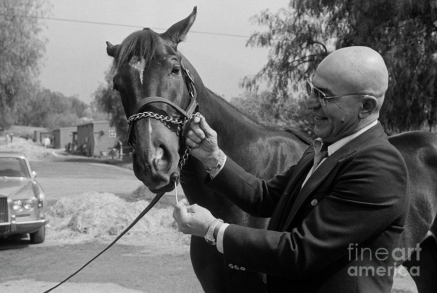Telly Savalas With Racehorse Tellys Pop Photograph by Bettmann
