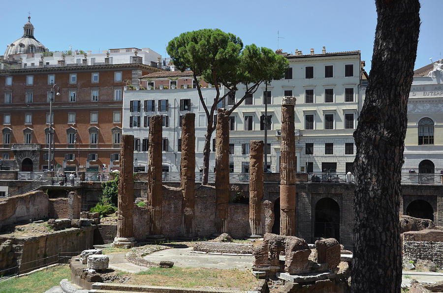 Temple B Columns at Largo di Torre Argentina Rome Italy Photograph by ...