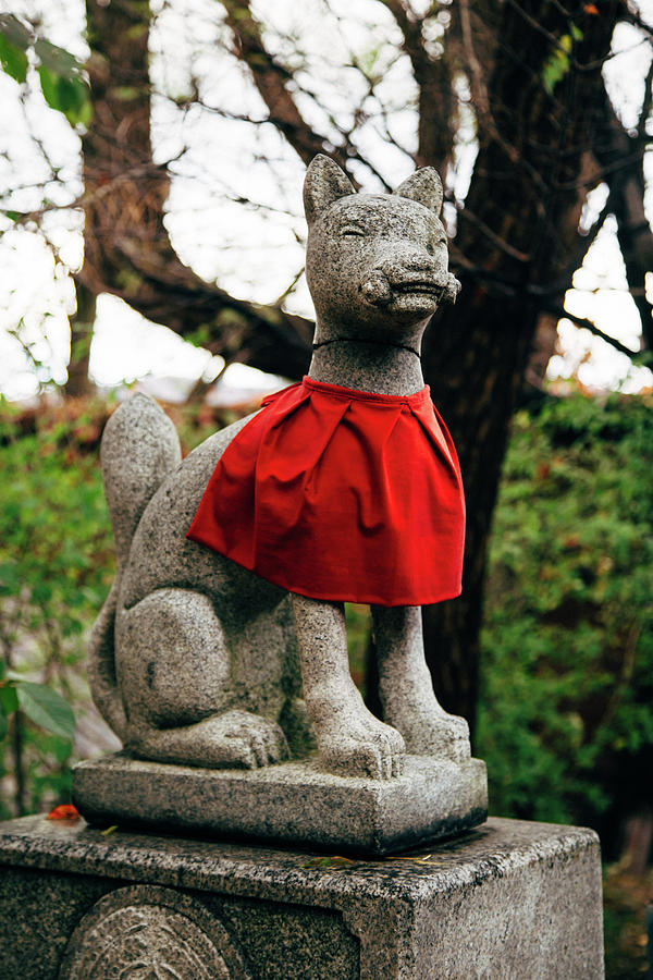 Temple dog in red Photograph by Jonathan Keane