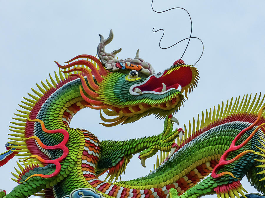 Temple Dragon Photograph by Patricia Gould
