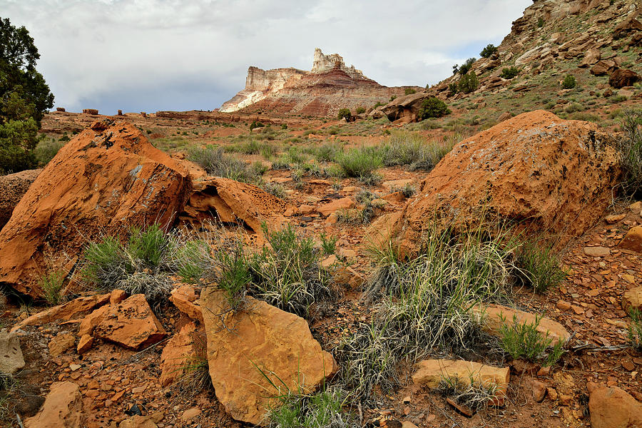 Temple Mountain in San Rafael Swell Photograph by Ray Mathis