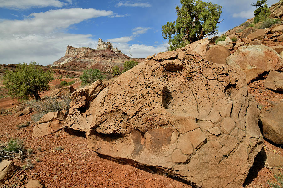 Temple Mountain of San Rafael Swell Photograph by Ray Mathis
