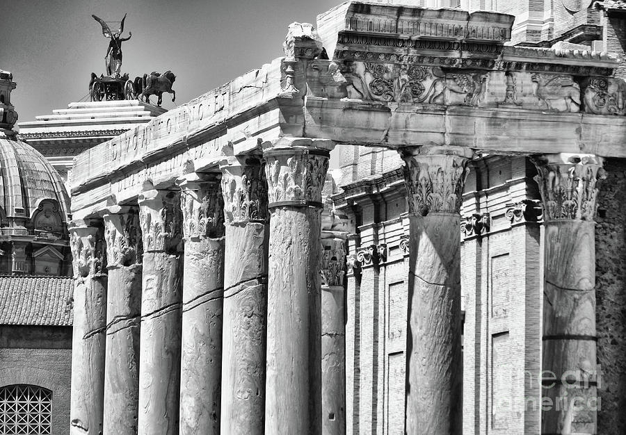 Temple of Antoninus and Faustina Columns and Griffin Frieze Roman Forum Rome Italy Black and White Photograph by Shawn OBrien