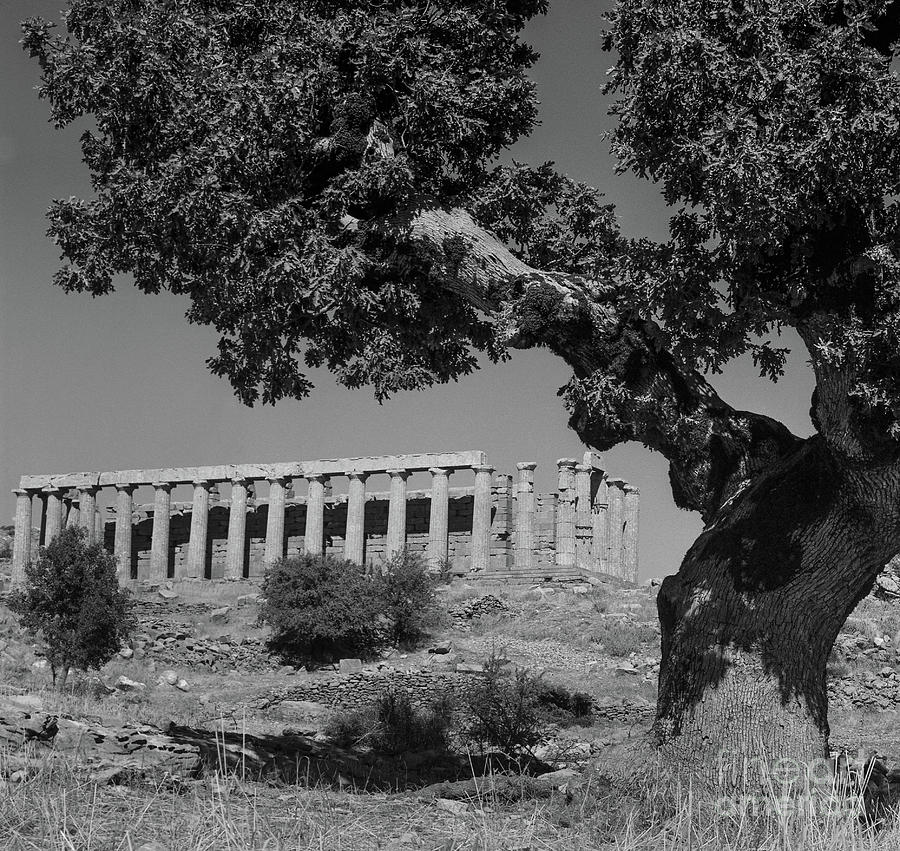 Greek Photograph - Temple Of Apollo, Bassae by 