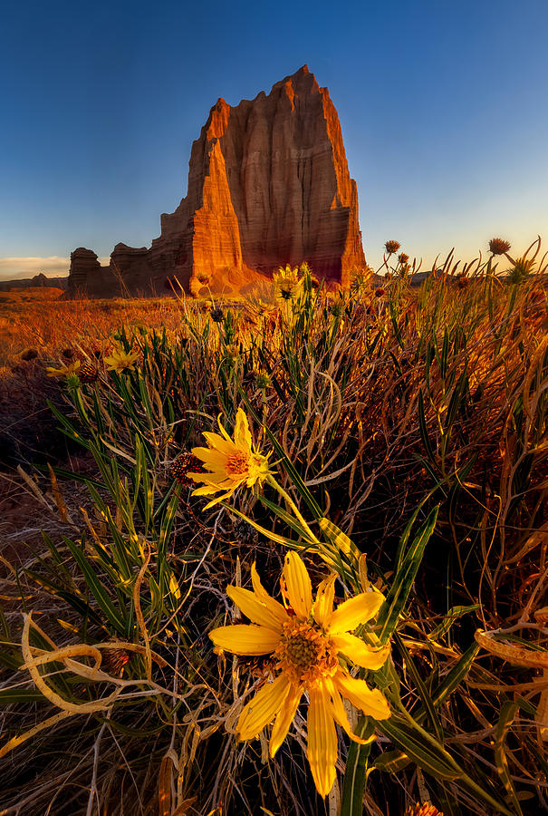 Capitol Reef National Park Photograph - Temple Of The Sun by James Bian