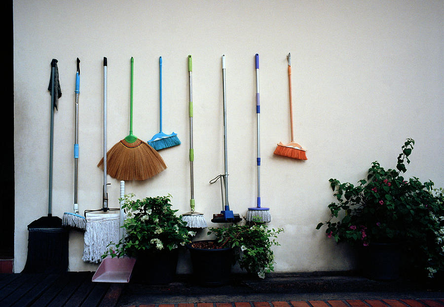 Temple Still Life by Shaun Higson Temple Still Life by Shaun Higson
