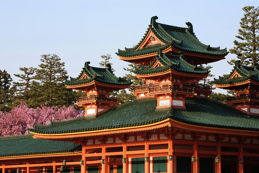 Temple With Cherry Blossom Photograph by John W Banagan