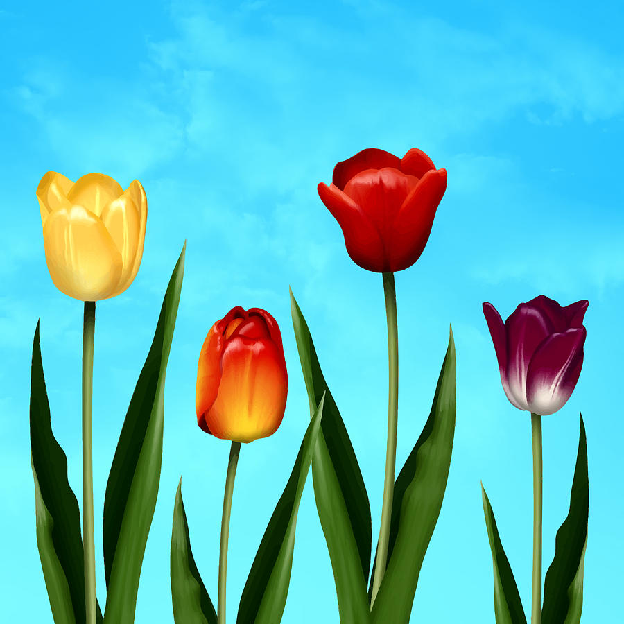 Tempting Tulips Digital Art by Ally White