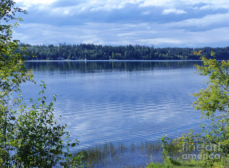 Ten Mile Lake - British Columbia Photograph by Phil Banks