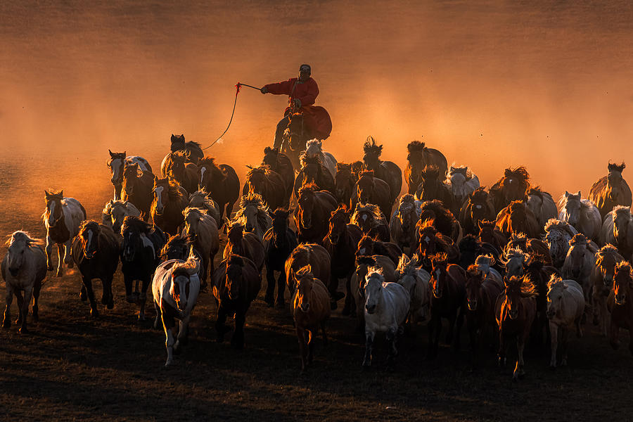 Ten Thousand Steeds Gallop Photograph by Liaoyuhan