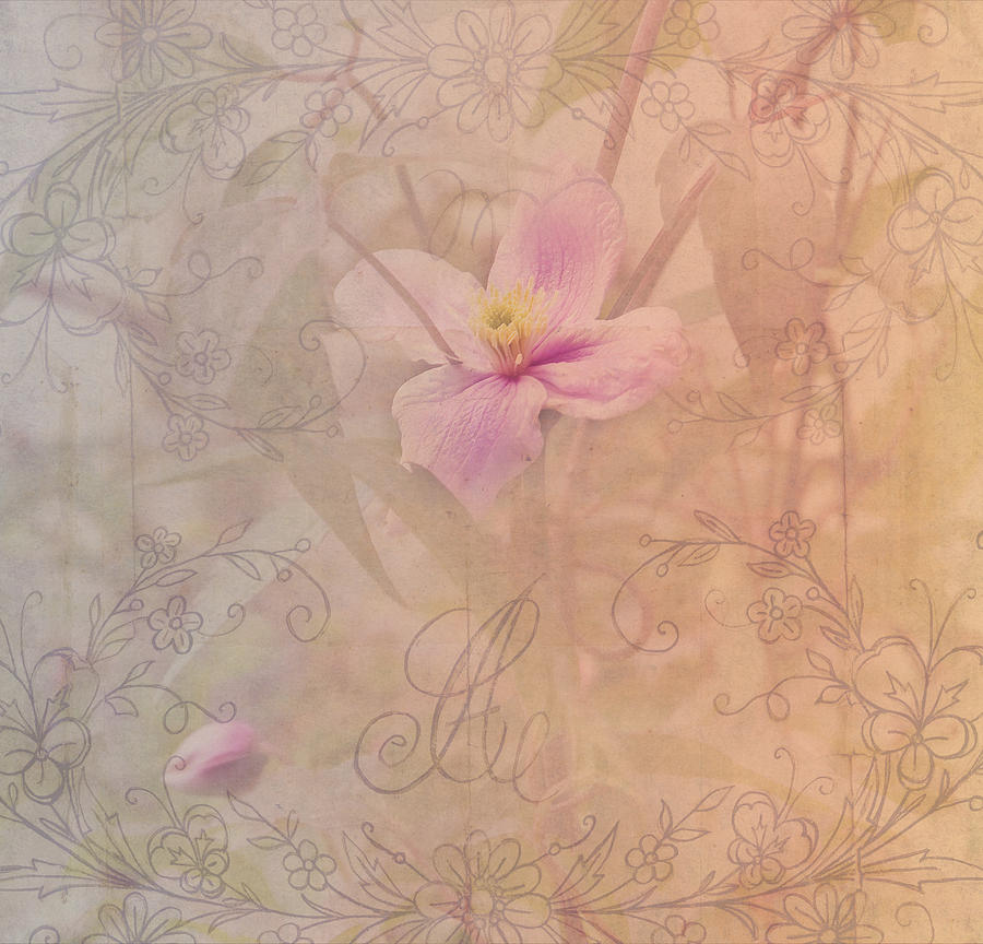 Tender Flower from Secret Garden 1 Photograph by Jenny Rainbow