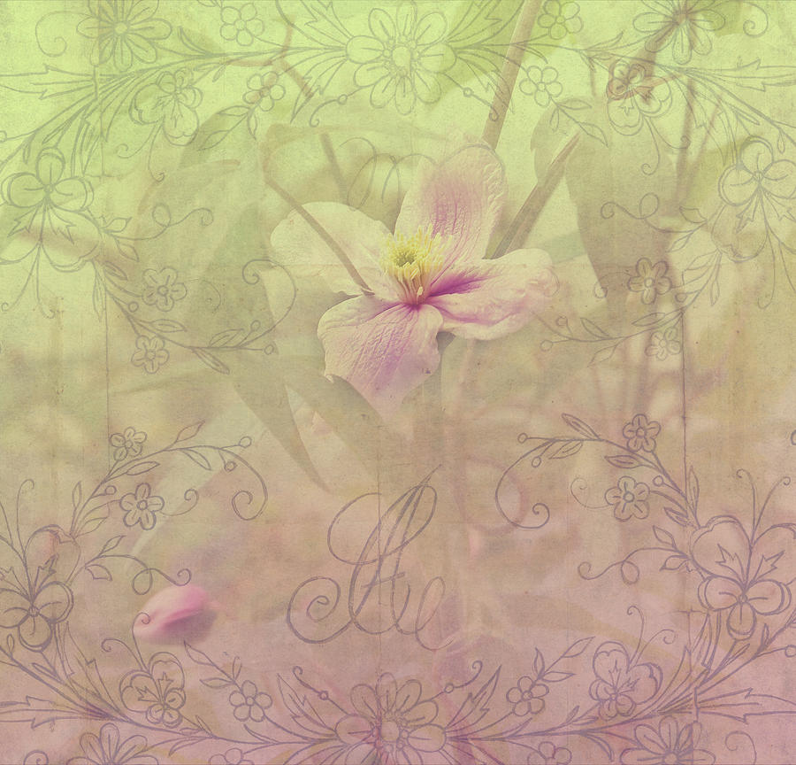 Tender Flower from Secret Garden 2 Photograph by Jenny Rainbow