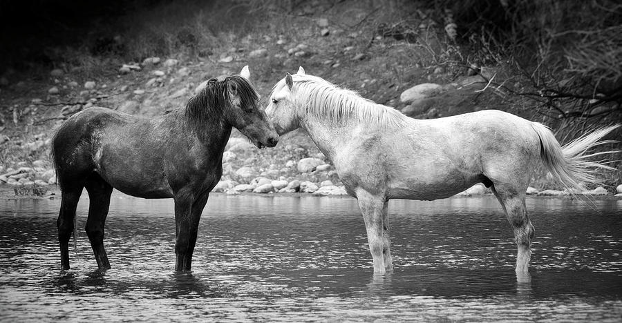 Tender Moments - In Black And White  Photograph by Saija Lehtonen