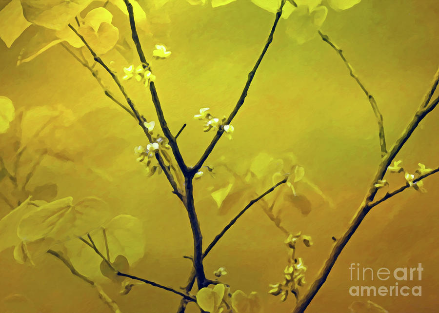 Thinking Of You Photograph - Tender Redbud, 5x7 by Banyan Ranch Studios Thinking Of You Photograph - Tender Redbud, 5x7 by Banyan Ranch Studios