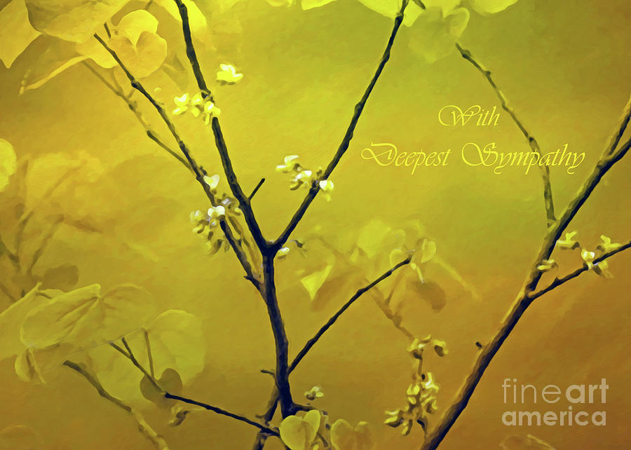 Sympathy Photograph - Tender Redbud, 5x7 Deepest Sympathy by Banyan Ranch Studios Sympathy Photograph - Tender Redbud, 5x7 Deepest Sympathy by Banyan Ranch Studios
