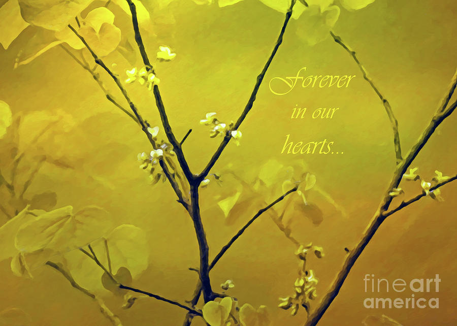 Thinking Of You Photograph - Tender Redbud, 5x7 Forever Hearts by Banyan Ranch Studios Thinking Of You Photograph - Tender Redbud, 5x7 Forever Hearts by Banyan Ranch Studios