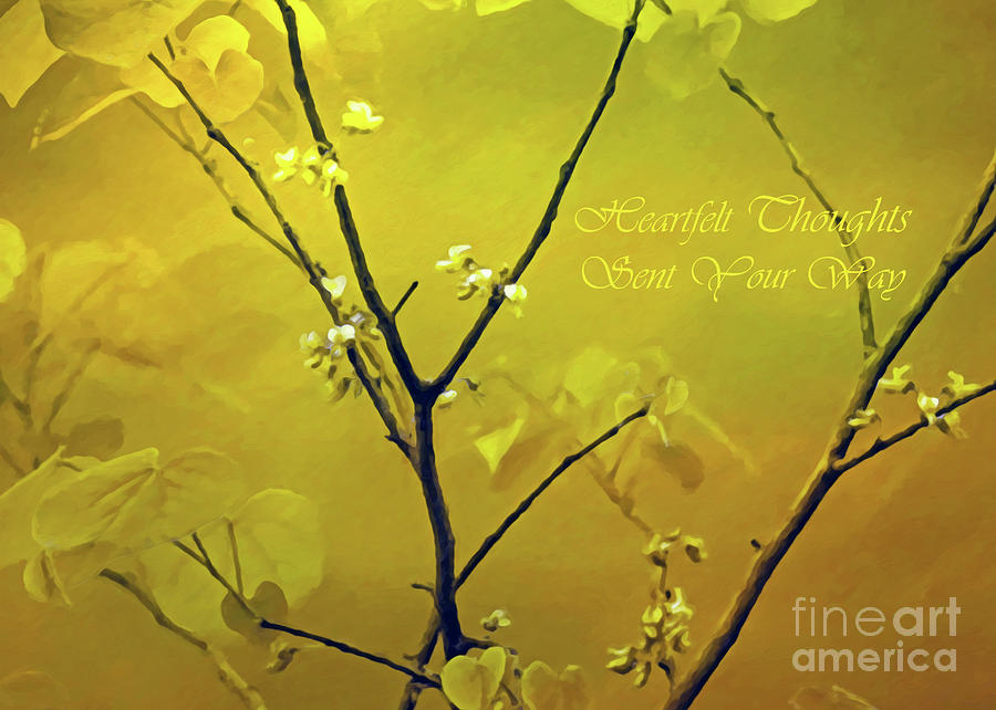 Greeting Photograph - Tender Redbud, 5x7 Heartfelt by Banyan Ranch Studios Greeting Photograph - Tender Redbud, 5x7 Heartfelt by Banyan Ranch Studios