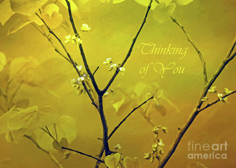 Thinking Of You Photograph - Tender Redbud, 5x7 Thinking Of You by Banyan Ranch Studios Thinking Of You Photograph - Tender Redbud, 5x7 Thinking Of You by Banyan Ranch Studios