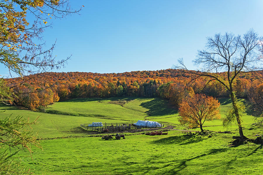 Tending to the Farm Woodstock Vermont VT Vibrant Autumn Foliage Photograph by Toby McGuire