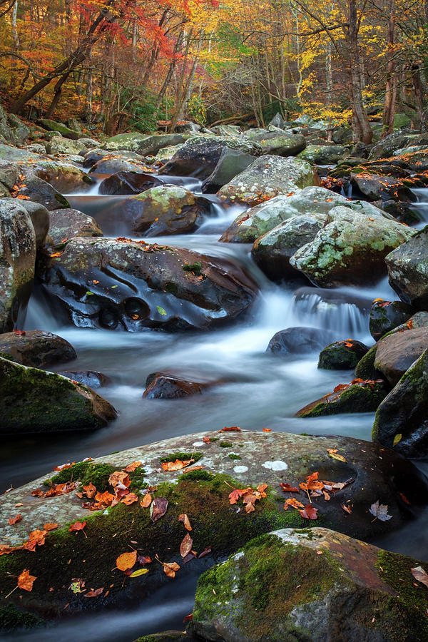 Tennessee Autumn by Harriet Feagin Tennessee Autumn by Harriet Feagin