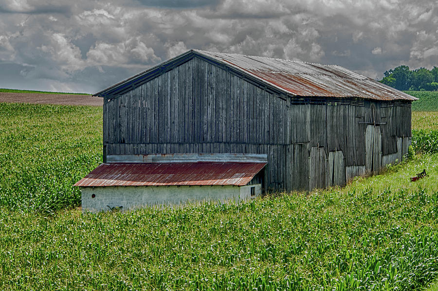 Tennessee barn Photograph by Alan Goldberg