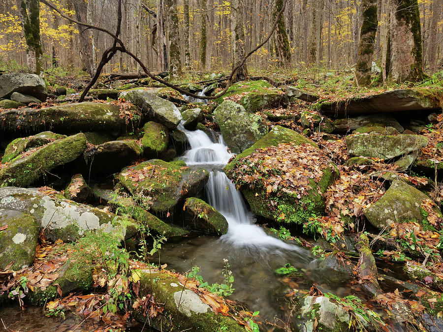 Tennessee Creek Photograph by Jerry Mann | Fine Art America