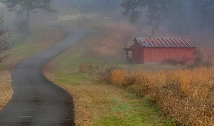 Tennessee Foggy Morn Photograph by Marcy Wielfaert