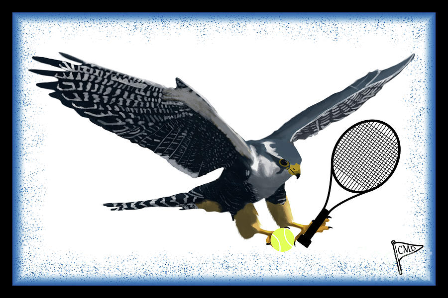 Tennis falcon clearance