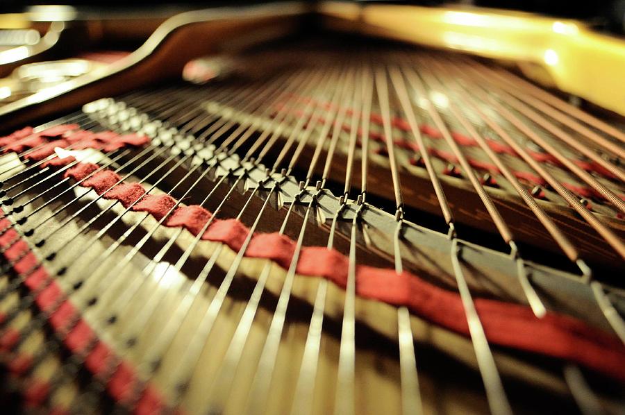 Tension Of The Piano String Photograph by See Me On Flickr Account-metal543