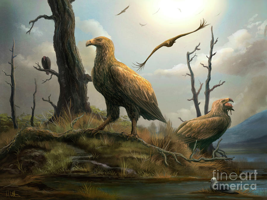 Teratornis Prehistoric Birds Of Prey Photograph by Mark P. Witton/science Photo Library