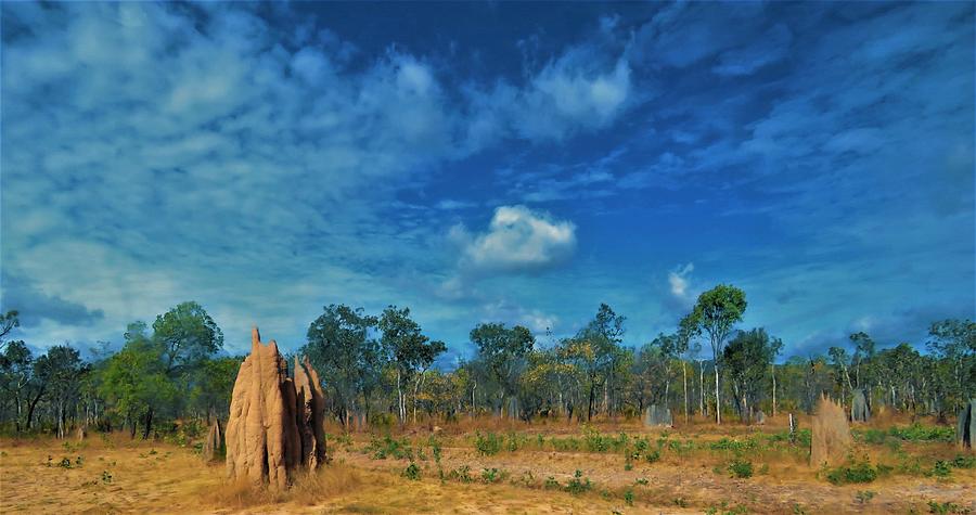 Termite Mounds On the Peninsular Developmental Road Photograph by Joan Stratton