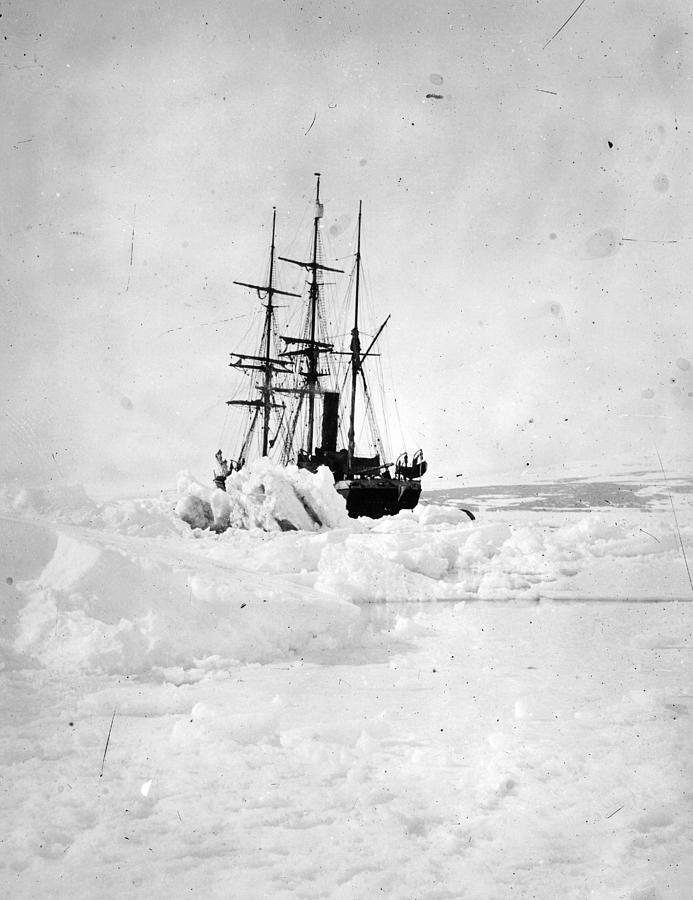 Terra Nova Photograph by Topical Press Agency