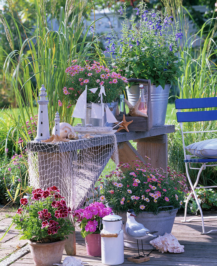 Terrace Arrangement Maritim Decorated, Raw Wooden Shelf Photograph by ...