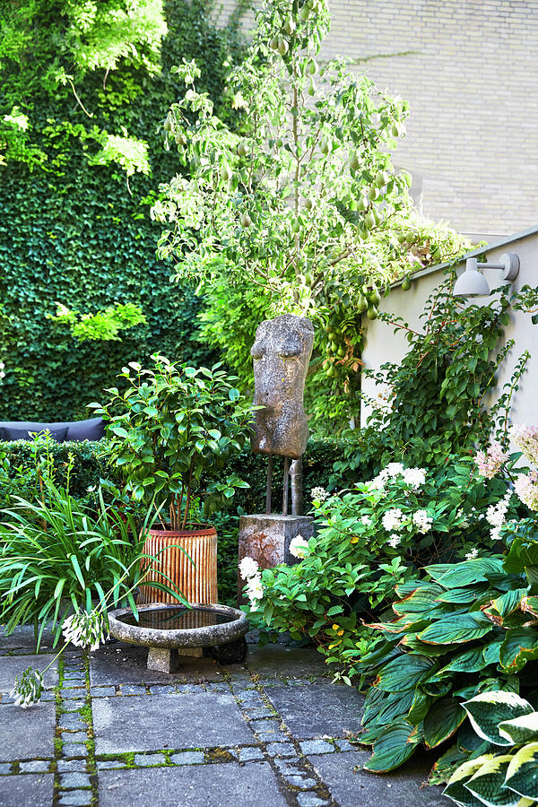 Terrace Decorated With Artworks, Potted Plants And Water Bowl Photograph by Birgitta Wolfgang Bjornvad