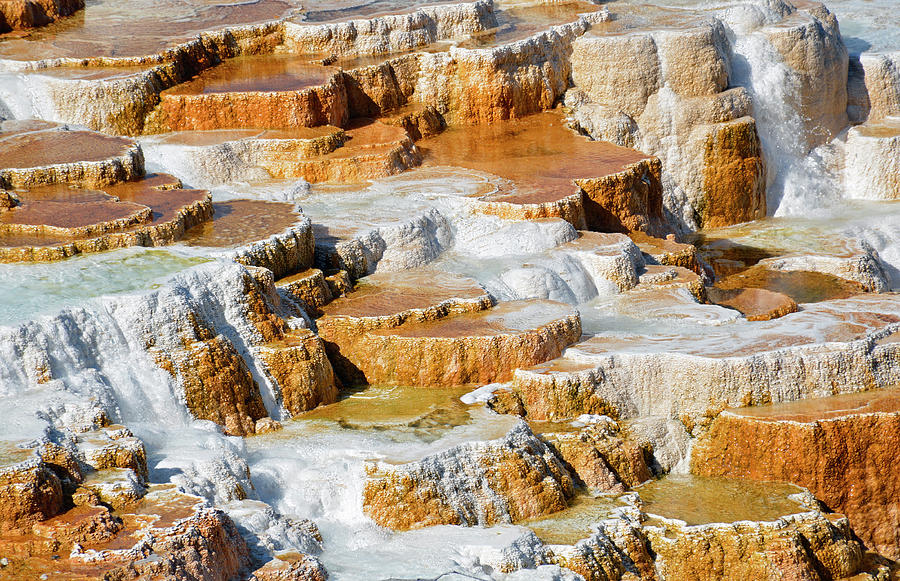 Yellowstone National Park Photograph - Terraced  by Bruce Gourley