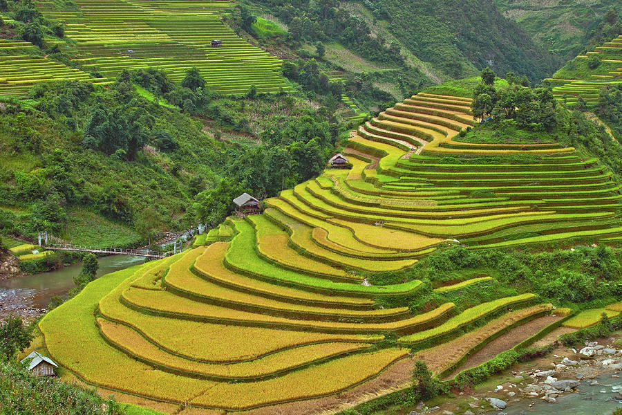 Terraced Fields In Vietnam Photograph by Long Hoang