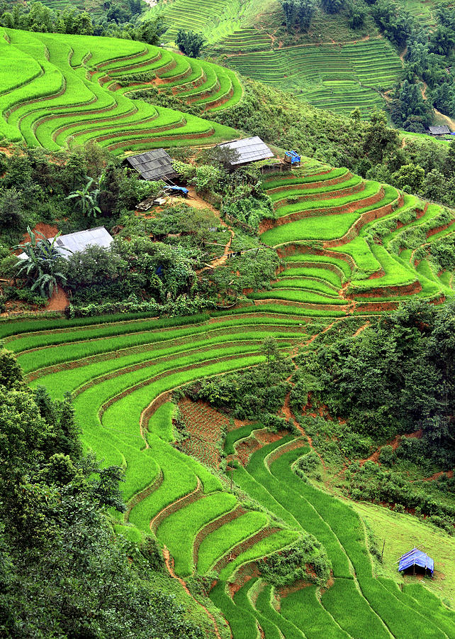 Terraced Fields Of Rice On The Way To Photograph by Rob Kroenert - Fine ...