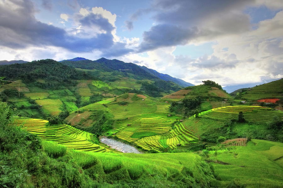 Terraced Rice Fields Photograph by Quan Tran Photography