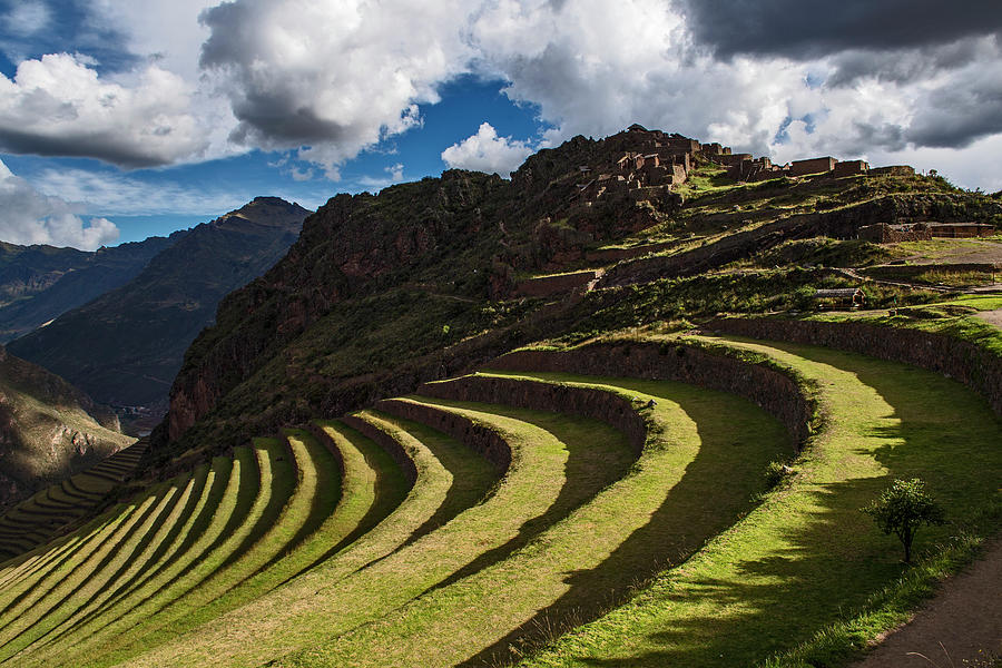 Landscape Photograph - Terraces At Pisac In The Sacred Valley Of The Incas, Peru by Cavan Images