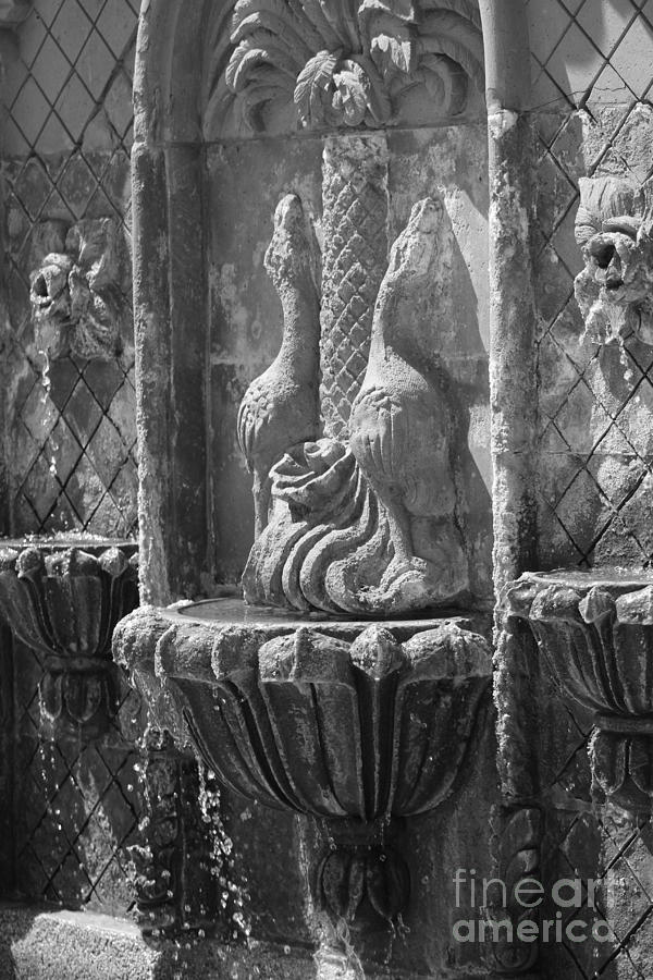 Terracotta Fountain in Black and White Photograph by Colleen Cornelius